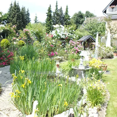 Elfi's Appartments Гостевой дом Ляйхлинген